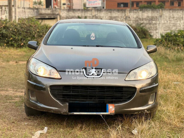 peugeot-407-2006-big-0